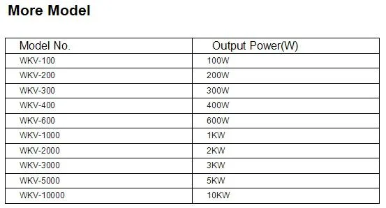 CE Approved 1000W Maglev Wind-Solar Independent Electrical System on The Mountain